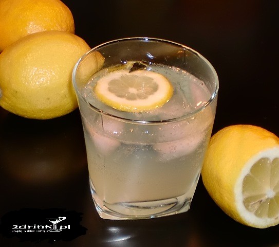 Gin Fizz