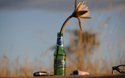 Ekologia i zrównoważony rozwój na rynku alkoholi – jak producenci odpowiadają na potrzeby środowiska?