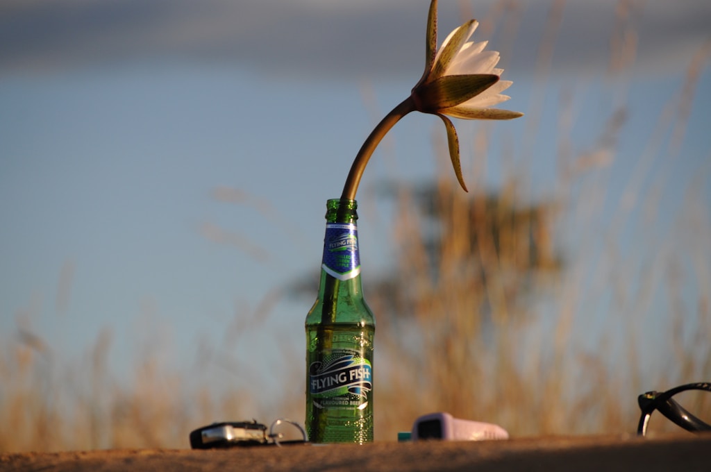 Ekologia i zrównoważony rozwój na rynku alkoholi – jak producenci odpowiadają na potrzeby środowiska?