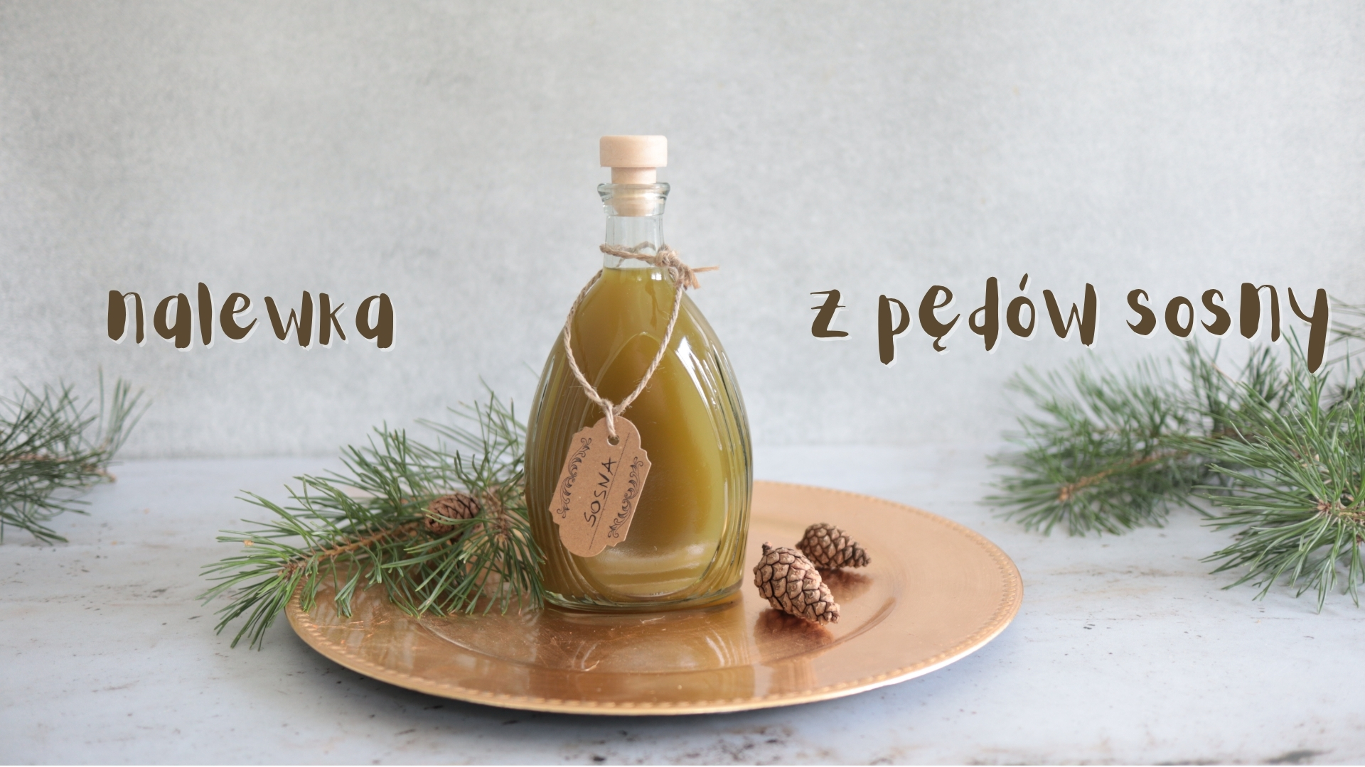 nalewka z pędów sosny nalewka z pędów sosny